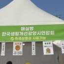 청룡마을1길 12 | 2026 전남 광양 매화축제 매화마을 다녀온 후기 | 주차 꿀팁부터 포토존 까지 공유