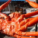 영덕대게식당 이미지