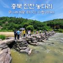 충북 진천 농다리 코스, 스토리움부터 둘레길 후기(ft. 주차장)