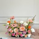소니아플레르