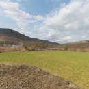 전원농장2 이미지