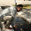 고부식당 이미지