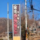 숲속애견랜드 | [찜질방] 서울 숯가마 찜질방 추천, 신촌 숲속한방랜드 후기