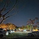 삼화리동광캠핑장 - 1294 | 삼화리동광캠핑장