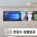 한강수성형외과의원 네이버블로그