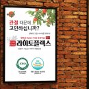 엘리펀(주)