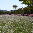 신소양체육공원1 이미지