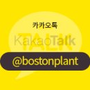 보스톤플란트치과의원 이미지