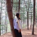 황지천~철암천 힐링숲길(1구간) 이미지