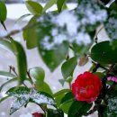 바다추억펜션 이미지