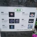 풍류 | 내돈내산💵 서촌 풍류 카페 후기/아메리카노,진녹,광야🍵