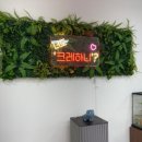 데이트 1탄) 피그미 다람쥐와 크레, 다양한 사육용품을 구경하고 온 도마뱀 파충류샵 "크레하니" 방문기