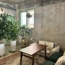 두꺼비가든 이미지