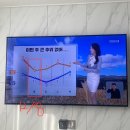 (주)코리아에코21 | 한달 그때그때 매일매일 사용한 컨백션 히터 더 에어히터 프로 웰핀012 - 한달전기요금 확인 및 잘 활용법