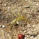 지성농장 이미지