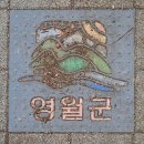 어라연송어횟집 | 강원 영월 1박2일 친구와 우정여행 일정 후기