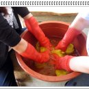 푸른솔염색 Daum카페
