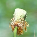 정촌면-2 이미지