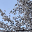 오름모텔 이미지