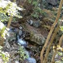 영동어죽 이미지