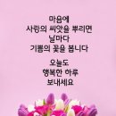 향기님 이미지