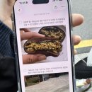 희로 | 사당 두쫀쿠 두쫀볼｜희로와 가격 주말 웨이팅 후기 맛나제과 두쫀쿠 비교