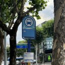 수성구보건소 건너(맘스터치) 이미지