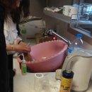 백크리닝 이미지