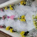 여수강남요양병원 이미지