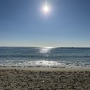 르컬렉티브 해운대 패러그라프 이미지