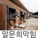 노트타운 | [문화생활] 뮤지컬 '데스노트' 후기 (+가챠 천국)