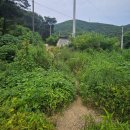 한평소류지 | [대구 경북 배스 낚시 포인트] 평산지·하빈지·지천지 탐색기 + 실조행 후기