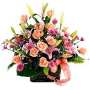 박인규축산 이미지