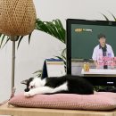 네르힐