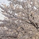 소리천로 이미지