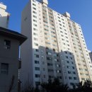 새뿔길1 네이버블로그