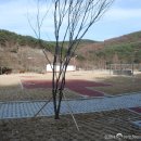 진안읍 1196 이미지