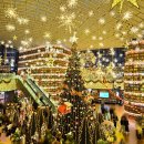 장미마을소망도서관 | 서울 크리스마스 트리 명소 코엑스몰 별마당도서관 2025