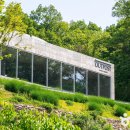 숲캉스 - 초록 장막 아래 산소 충전 :: 돈대카페 아웃포스트, 광교푸른숲도서관, 숲의하루 이미지
