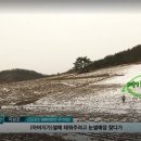 스노보드 이상호 선수 별명이 배추보이인 이유 이미지