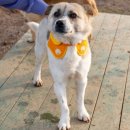 주양쉼터 이미지