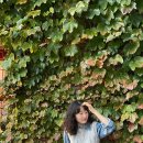 노랑머리 | 히피펌 성지 ‘노랑머리 미용실’ 히피펌 한 달 후 후기