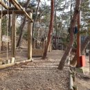 입화산참살이숲야영장 이미지