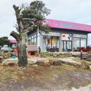 에코승마아카데미 이미지