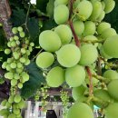 중흥2동 행정복지센터 앞 이미지