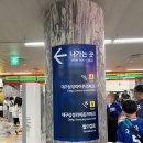 알파반점 | 대구 삼성 라이온즈 파크 직관 후기, 대중교통추천 및 좌석 시야, 야푸 추천