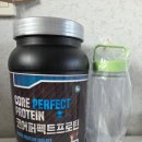 퍼팩트마트 | 운동·다이어트 필수템｜게이너마트 코어퍼펙트프로틴 솔직 후기 (맛·포만감 만족💙)