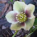 열창노래방 이미지