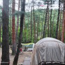 무릉계곡힐링캠프장 이미지