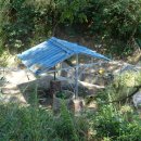 마을회관옆 이미지